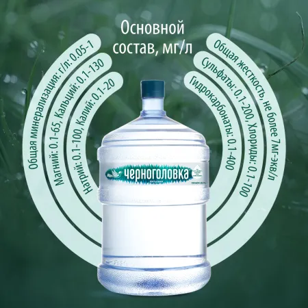 Черноголовка вода 19 литров